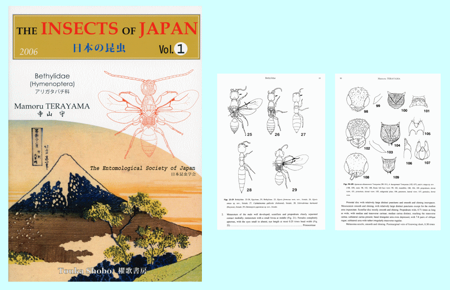 日本の昆虫 Vol.1